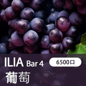 ILIA哩亞-BAR4|多肉葡萄|4代一次性電子煙| 6500口霧化棒